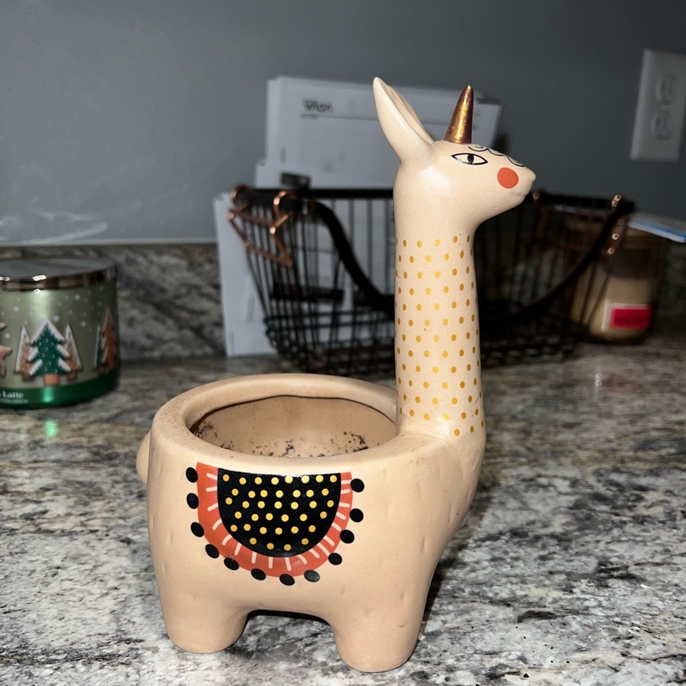 Unique flower pot